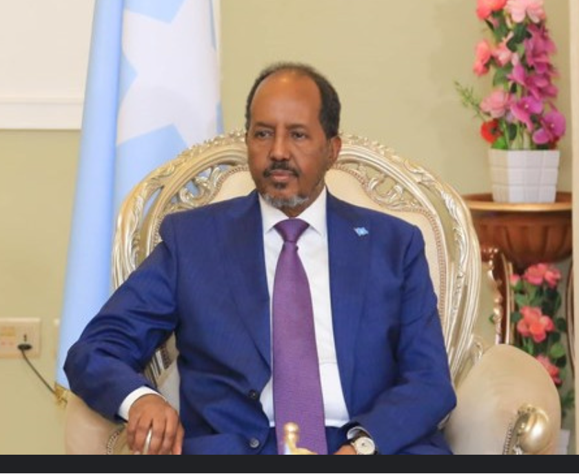 President Mohamud's Strategic Diplomacy and The Quest For A Secure Somalia